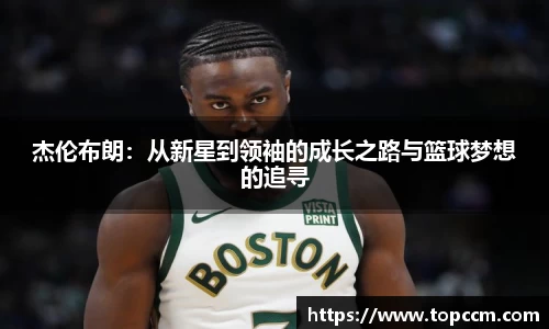 星空综合·(中国)官方网站